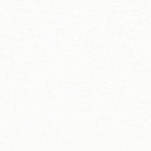 EDGEBANDING MONO B WHITE G60257 MATTE DL