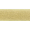 BORDO ABS ALLUMINIO ORO SPAZZOLATO RG004 CON PROTEZIONE