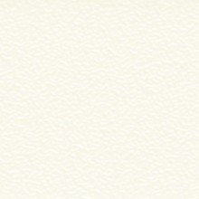 Fundermax - 0733 Hygienic White FH Fundermax - 0733 Hygienic White FH